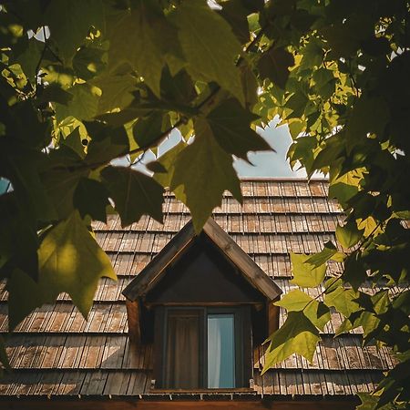 Guesthouse Pashko Theth Ngoại thất bức ảnh
